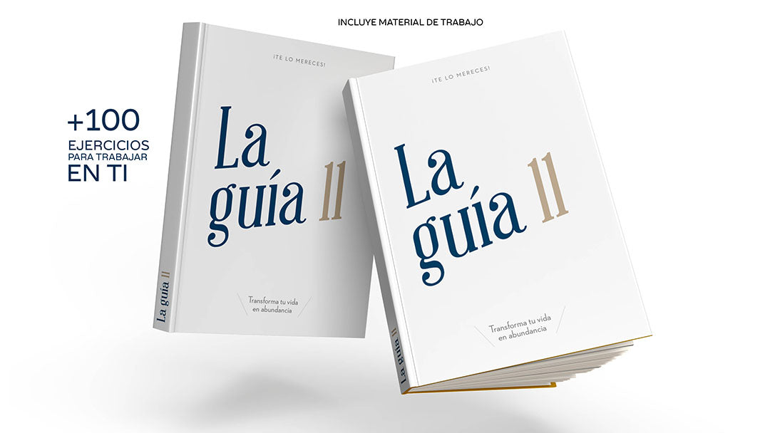 Guía 11 - 11 Guías por el precio de 1 - Transforma tu vida en abundancia